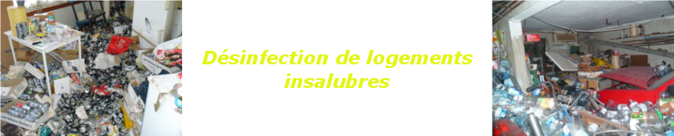Dsinfection Dsinsectisation Dratisation