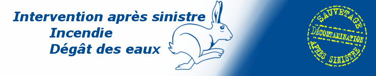 Apres sinistre SNEM